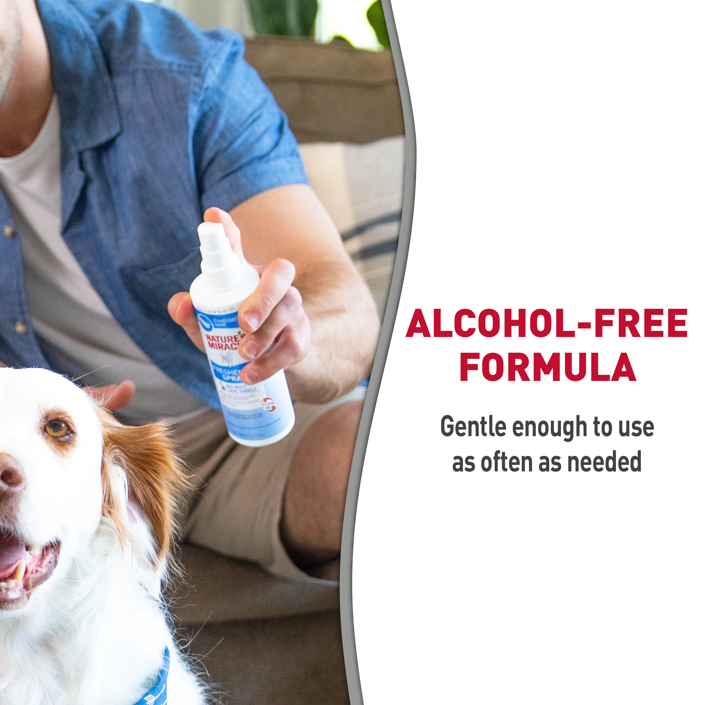 Nasal spray for dogs discount